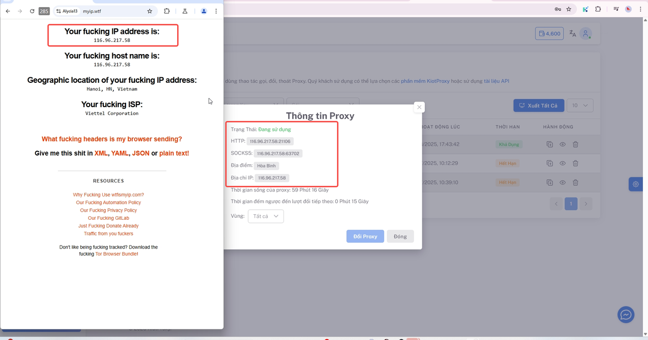 Check địa chỉ ip của hồ sơ và địa chỉ ip trên web KiotProxy